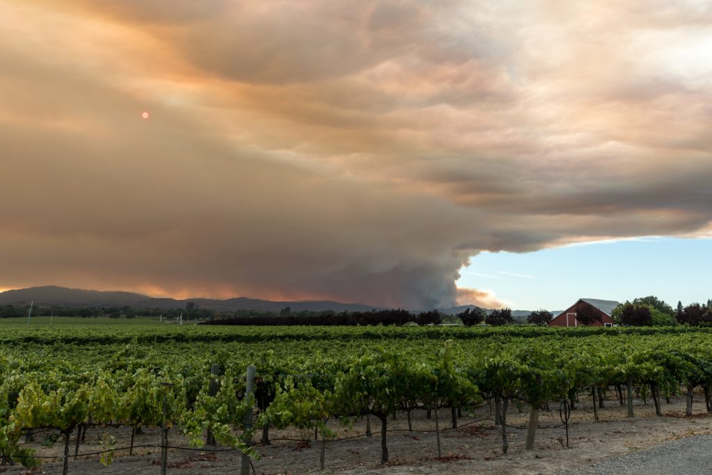 Public Safety Power Shutoffs - Vineyards and Wineries