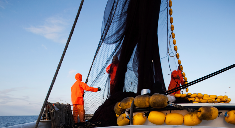 Commercial Fishing market